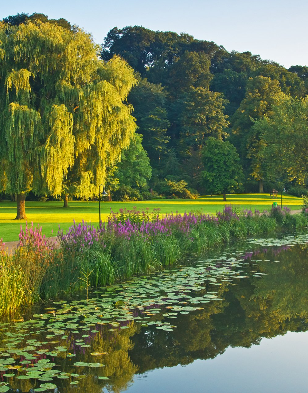Thomas Ebelt Kurpark Grüne Oase