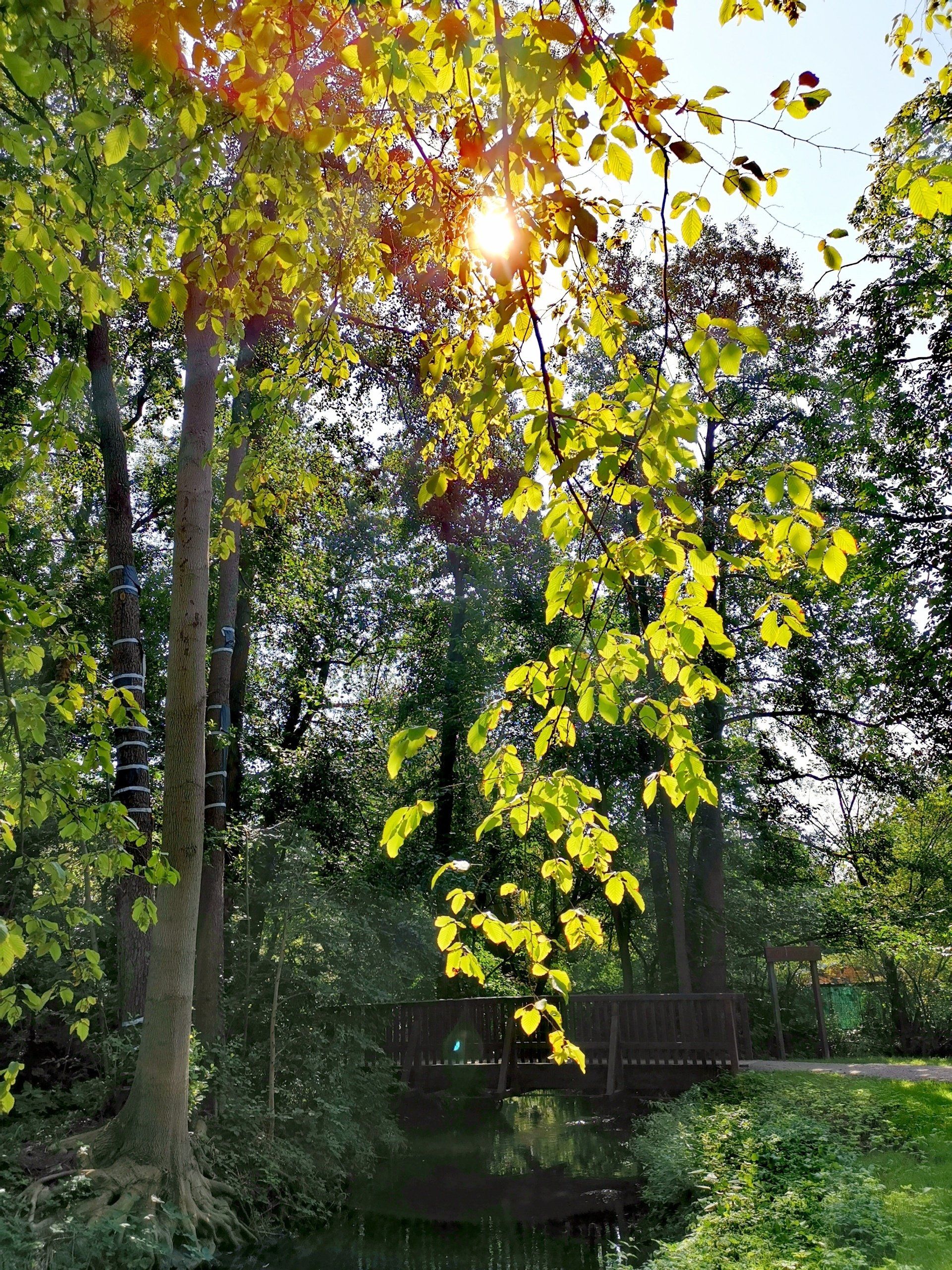 Landschaft c Stadt Bad Bramstedt