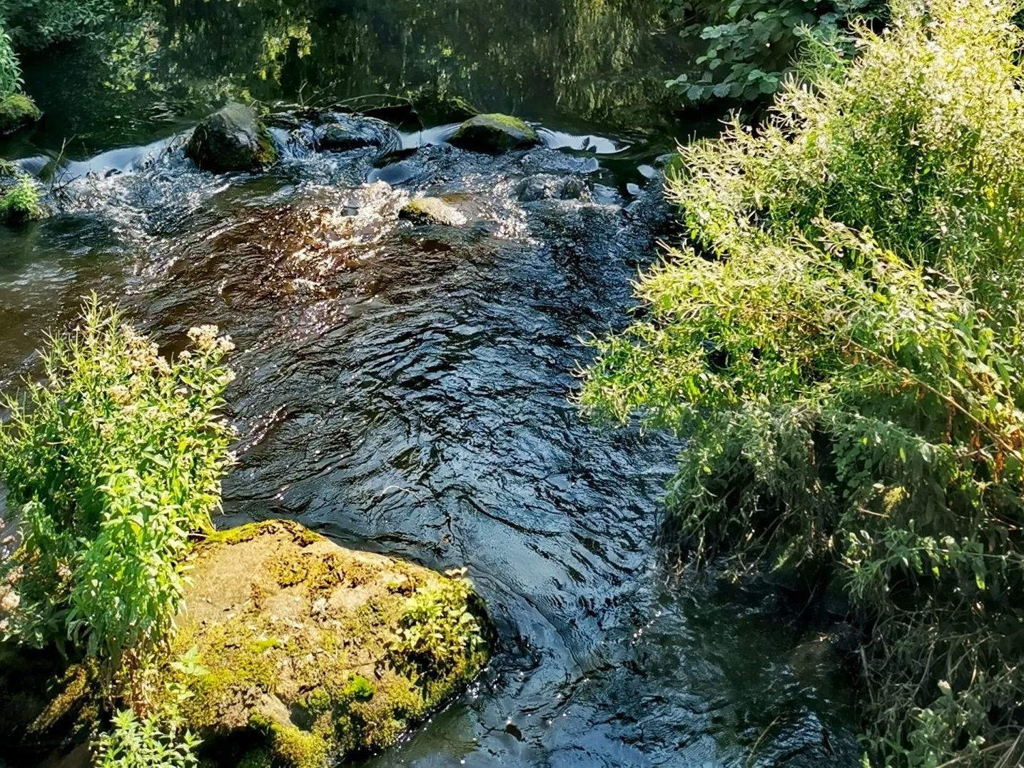 Stadt Bad Bramstedt