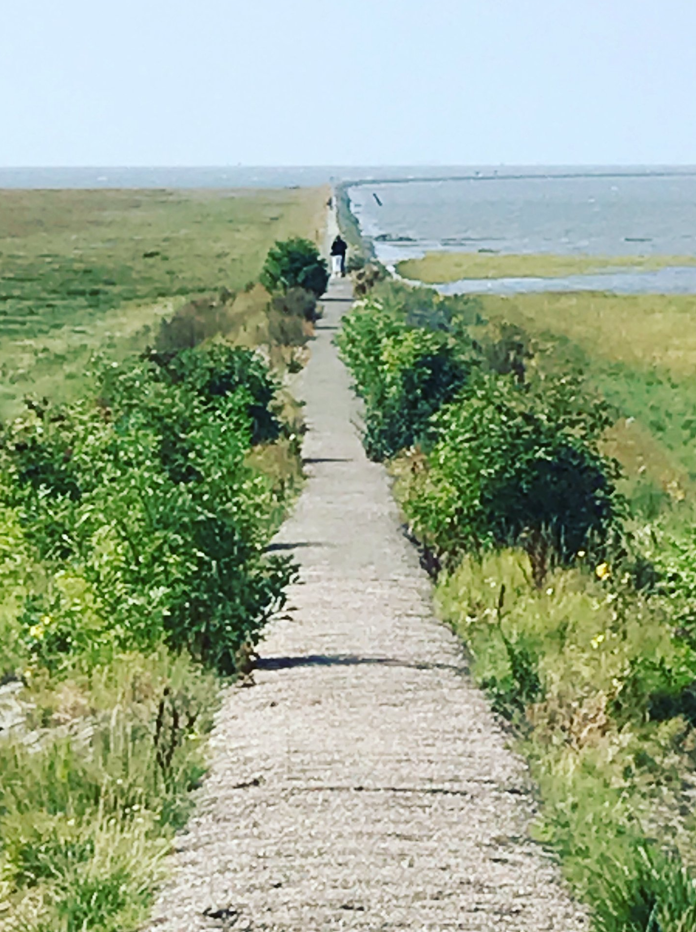 Trischendamm Steindamm Ausflüge Fahrrad Spazieren