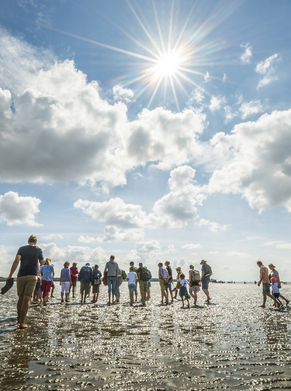 Büsum Wattwandern, Foto: Oliver Franke Büsum Wattwandern