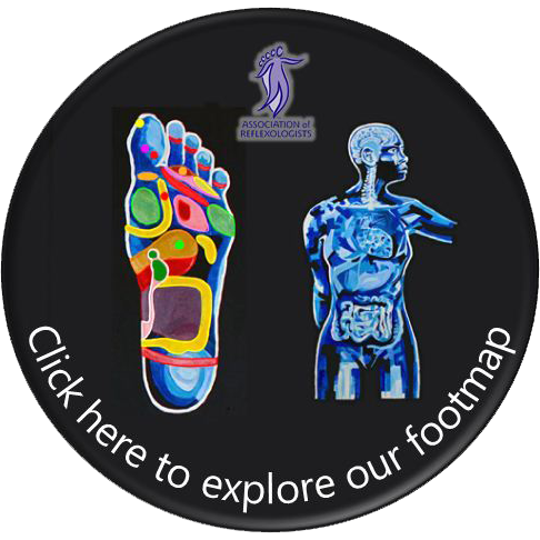 Reflexology foot maps