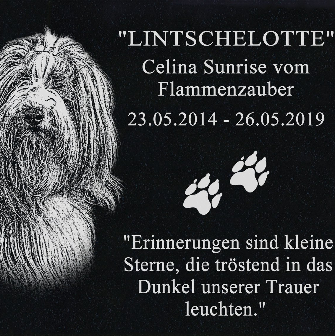 über den Regenbogen - in Erinnerung über den Regenbogen - in Erinnerung