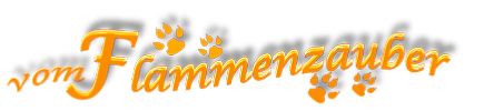Bearded Collies und Welsh Corgis vom Flammenzauber Bearded Collies und Welsh Corgis vom Flammenzauber