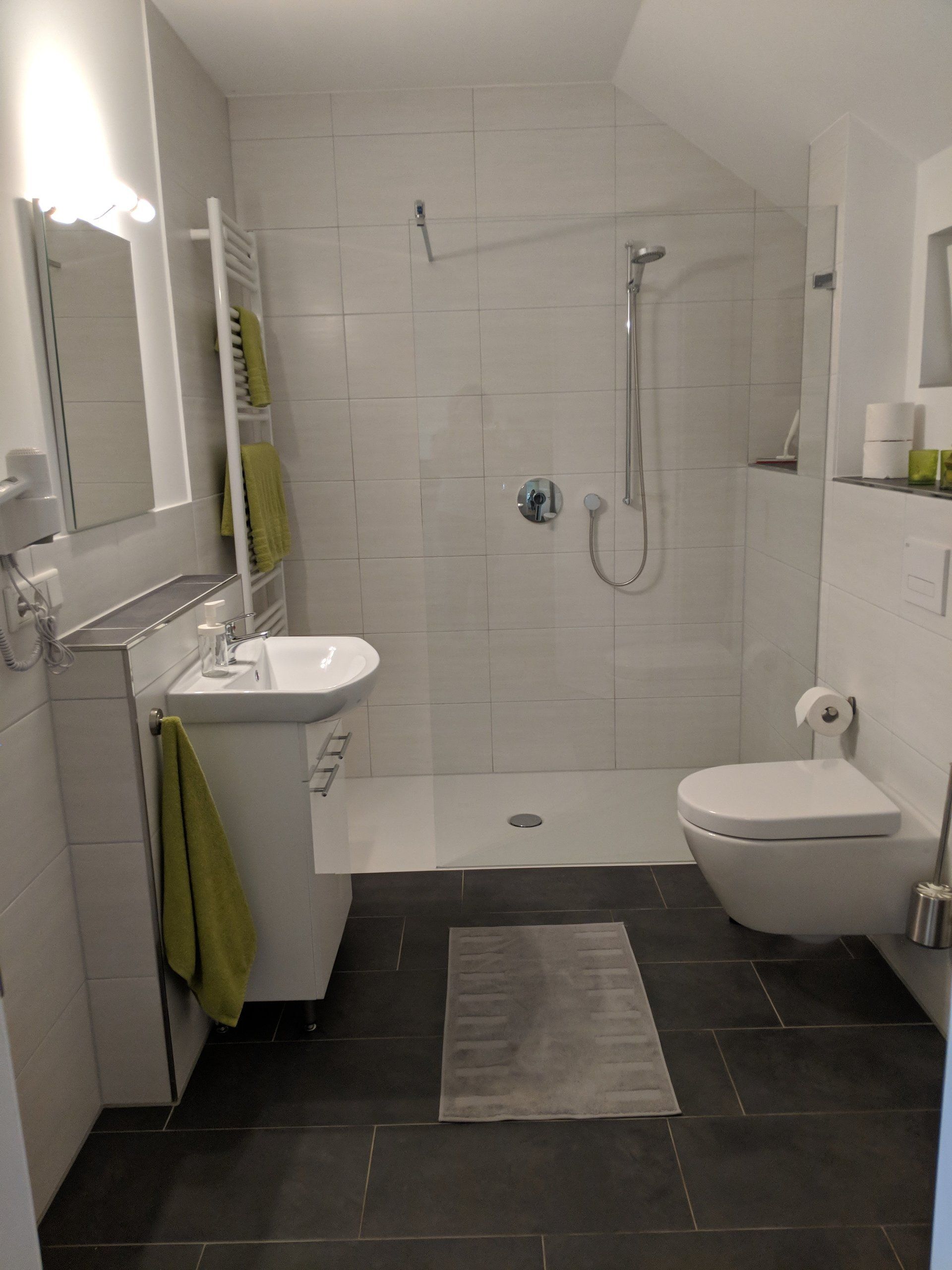 Modernes Badezimmer mit großer Dusche, Waschbecken und WC