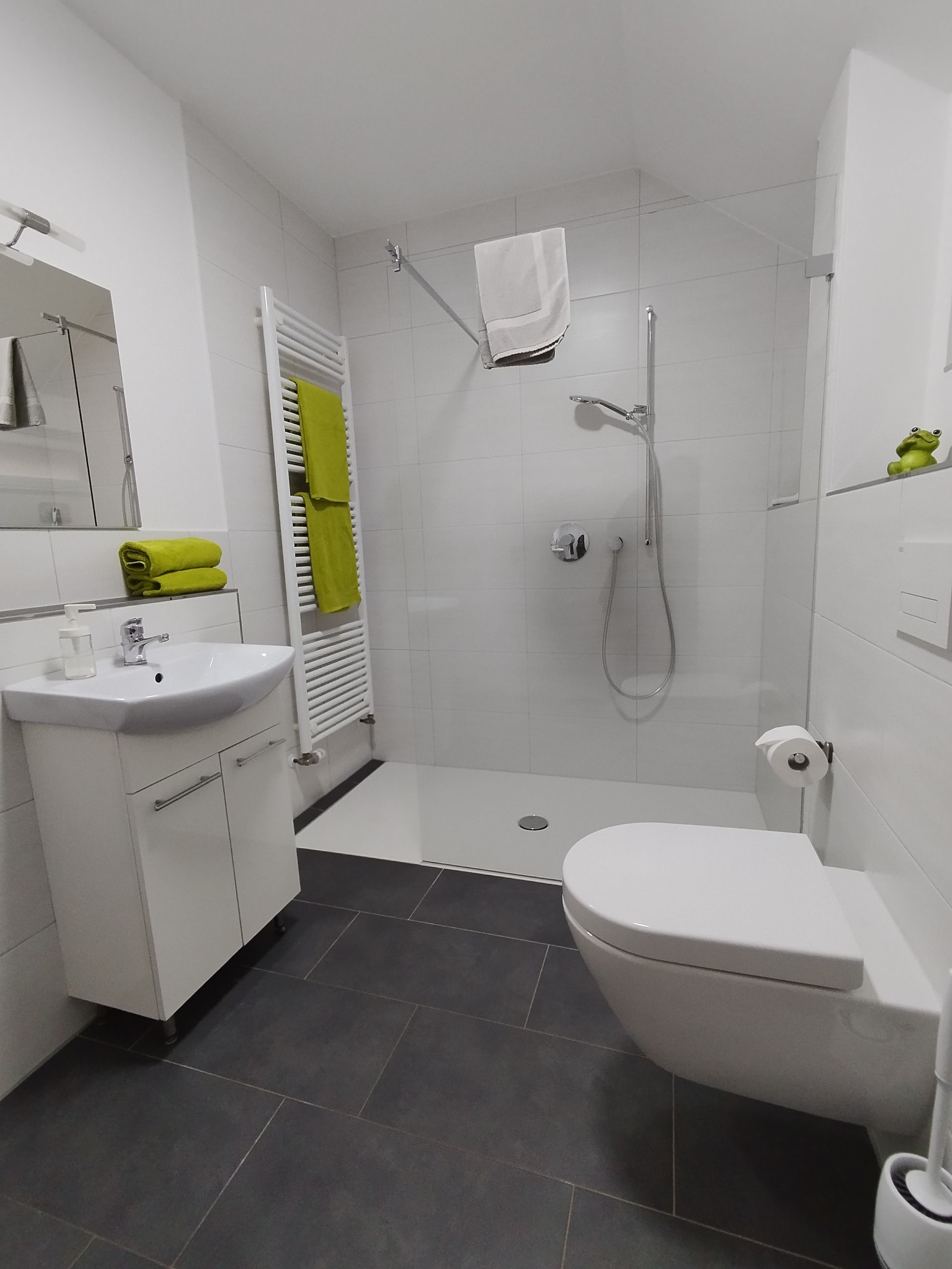 Modernes Badezimmer mit großer Dusche, Waschbecken und WC