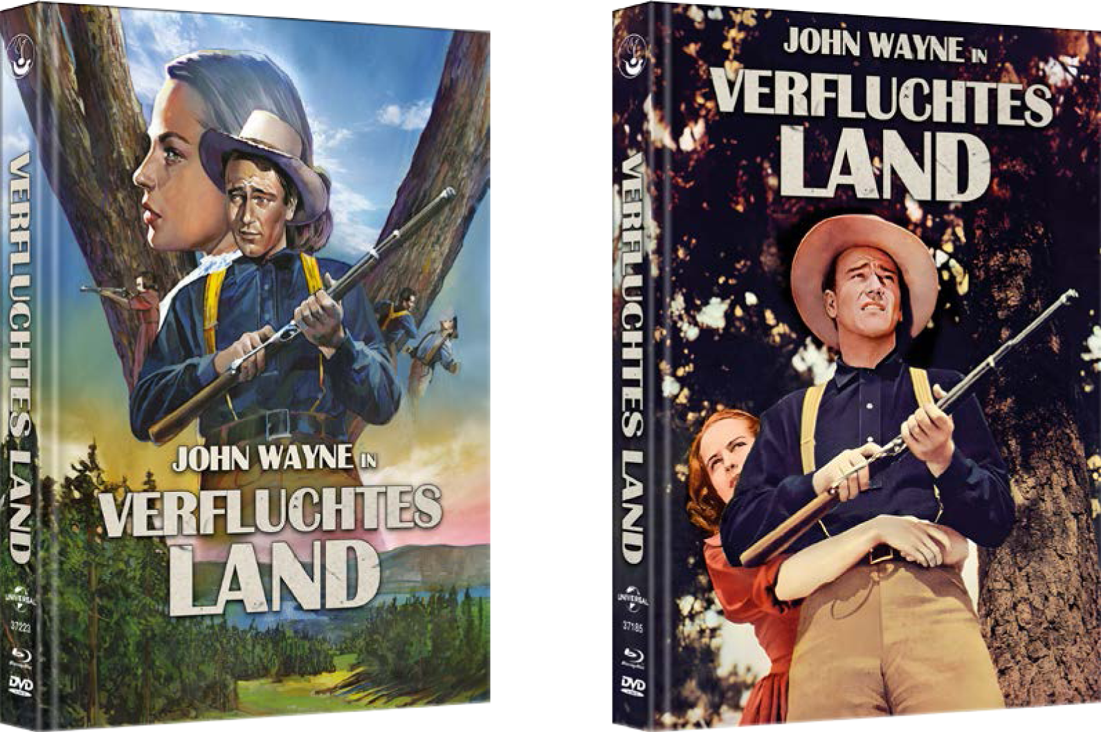 Download Cover als .zip DVD und Blu ray Wir warten in Ashiya