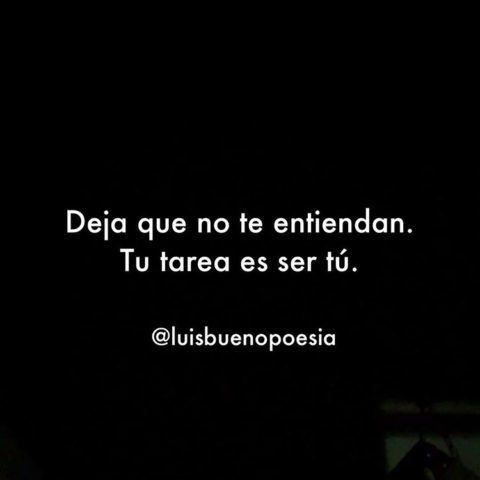 Frase inspiradora de @luisbuenopoesia
Deja que no te entiendan. Tu tarea es ser tú.