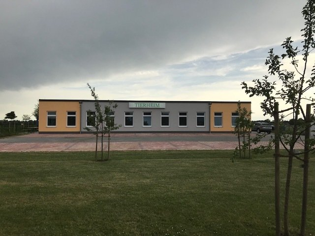 Tierheim Plattling