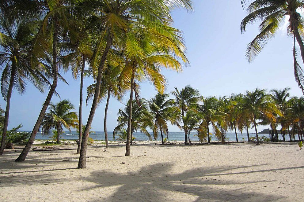 Gîte-des Remparts, location de bungalows à la Désirade, Guadeloupe
