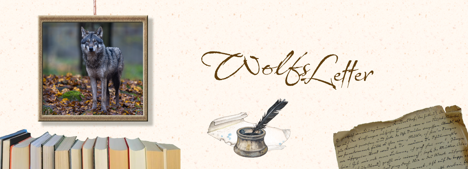 Wolf Annett Wolf Autorin Liebesroman Newsletter