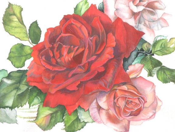 Aquarellmalerei: detailreiche Rosenblüten, rote und rosafarbene Blüten, naturalistisch