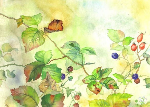 Auqarellmalerei: Brombeerranken in herbstlicher Reife, naturalistisch