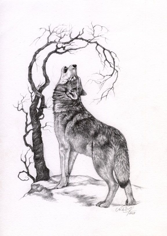 Bleistiftzeichnung: naturalistischer, heulender Wolf unter einem manirierten Baum