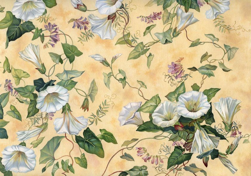 Illustration für eine Serviette, hohe Detailtreue, Aquarell-/ Gouache-Malerei, Zaunwinde auf beigefarbenem Grund