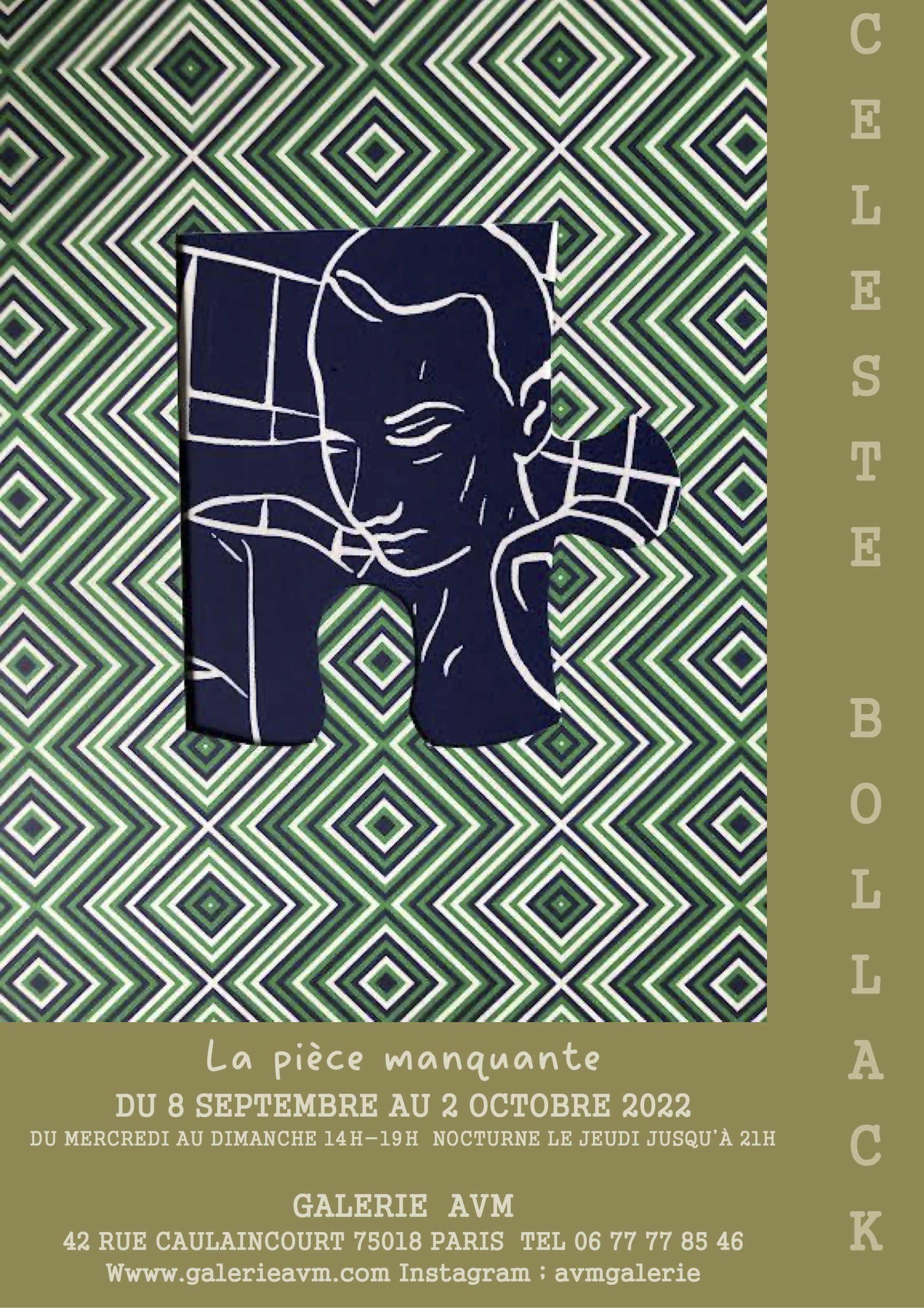 galerie avm, art contemporain paris, celeste bollack