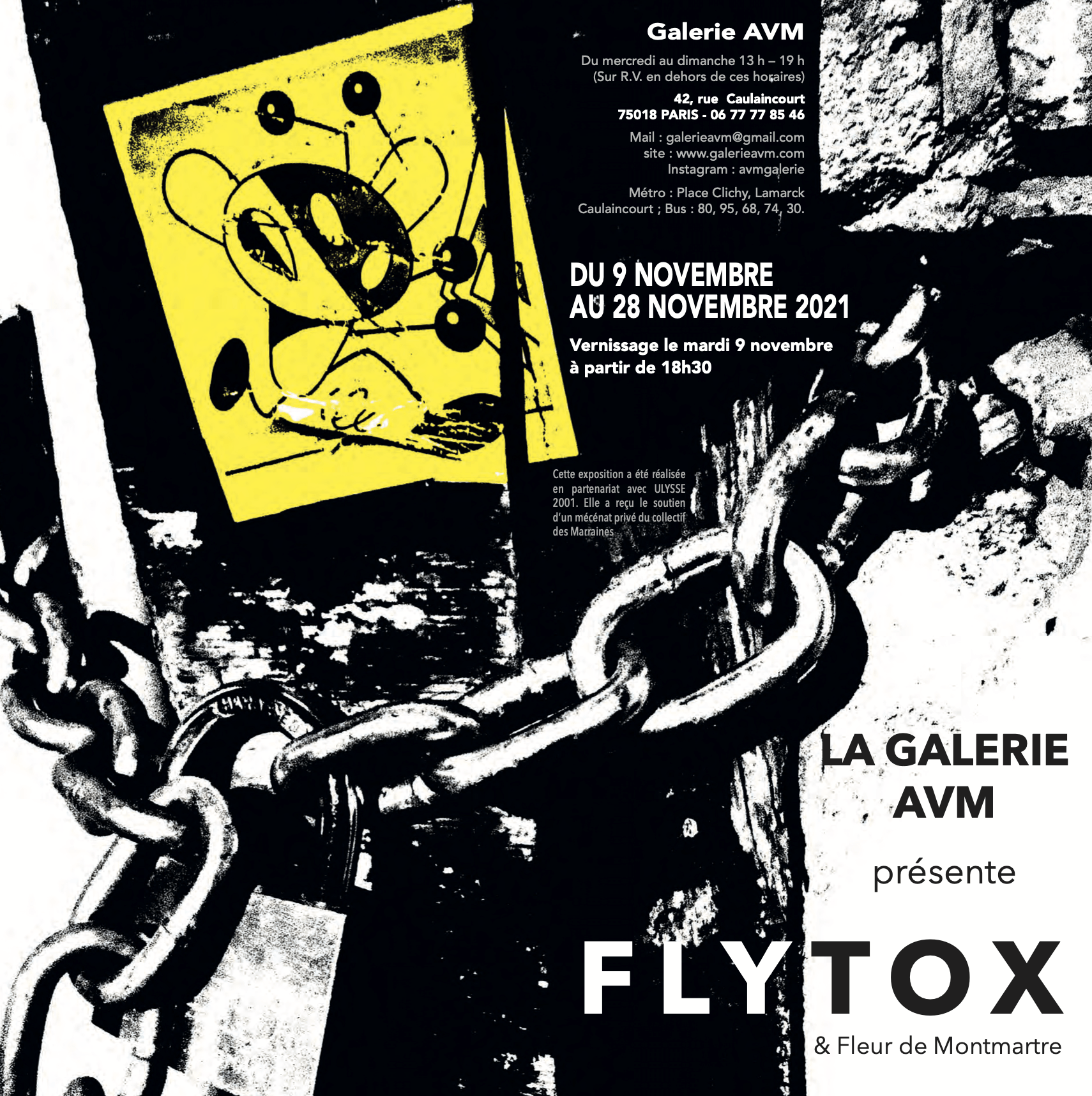 Flytox, galerie AVM