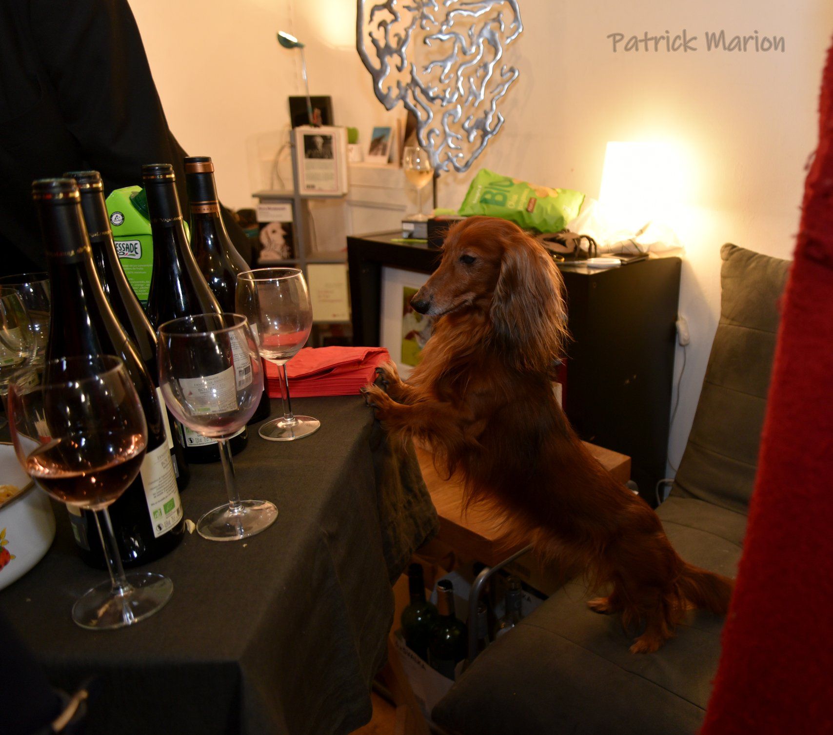 Galerie avm, art contemporain paris, galerie d'art contemporain paris