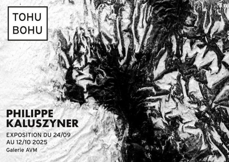 philippe kaluszyner galerie AVM art contemporain paris