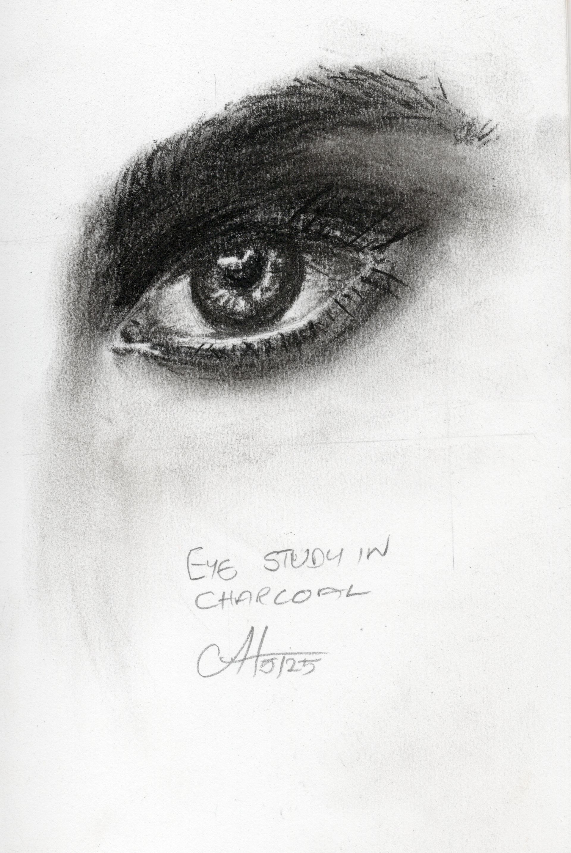 Eye study sketch in charcoal