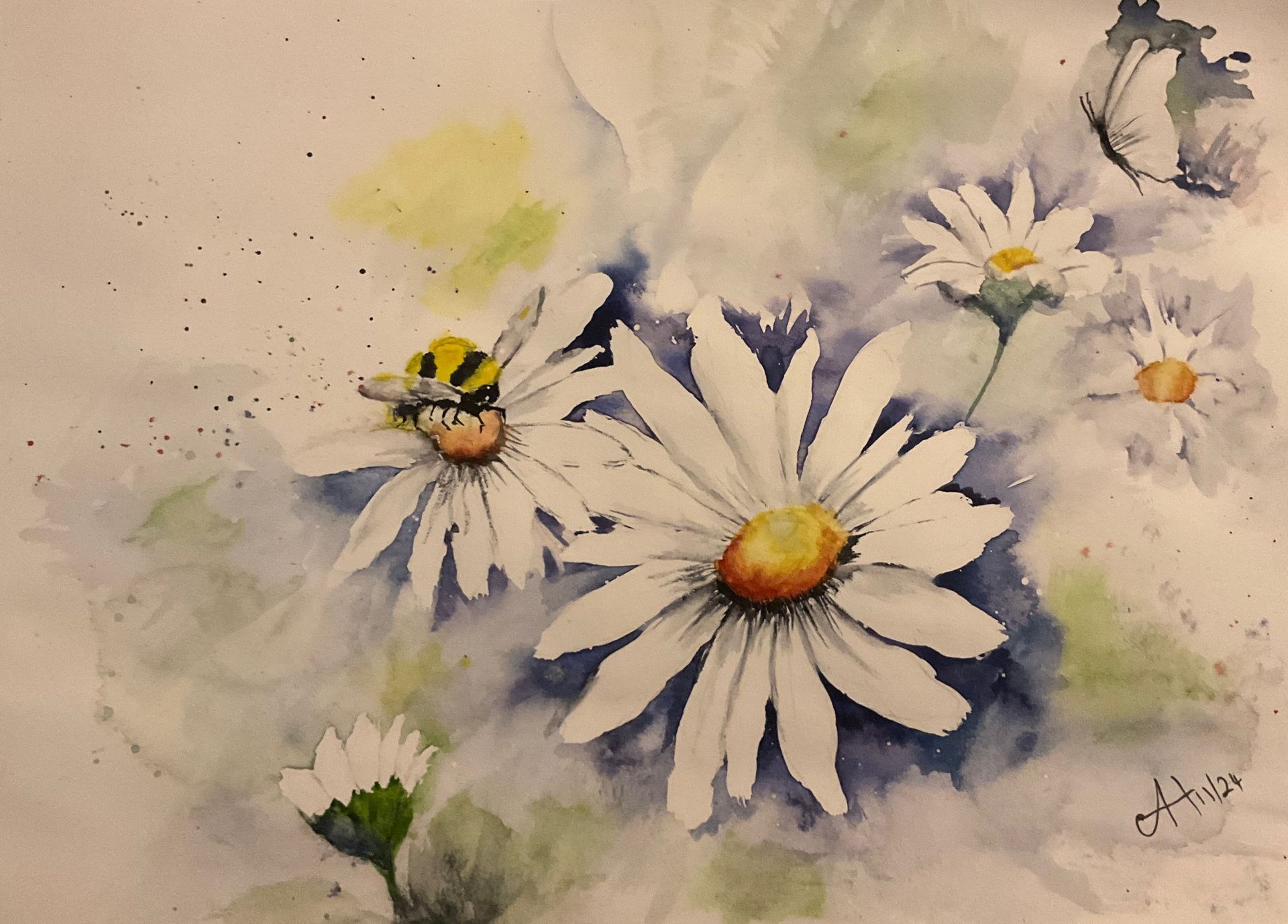 Dreamy daisies visited by a hungry bee