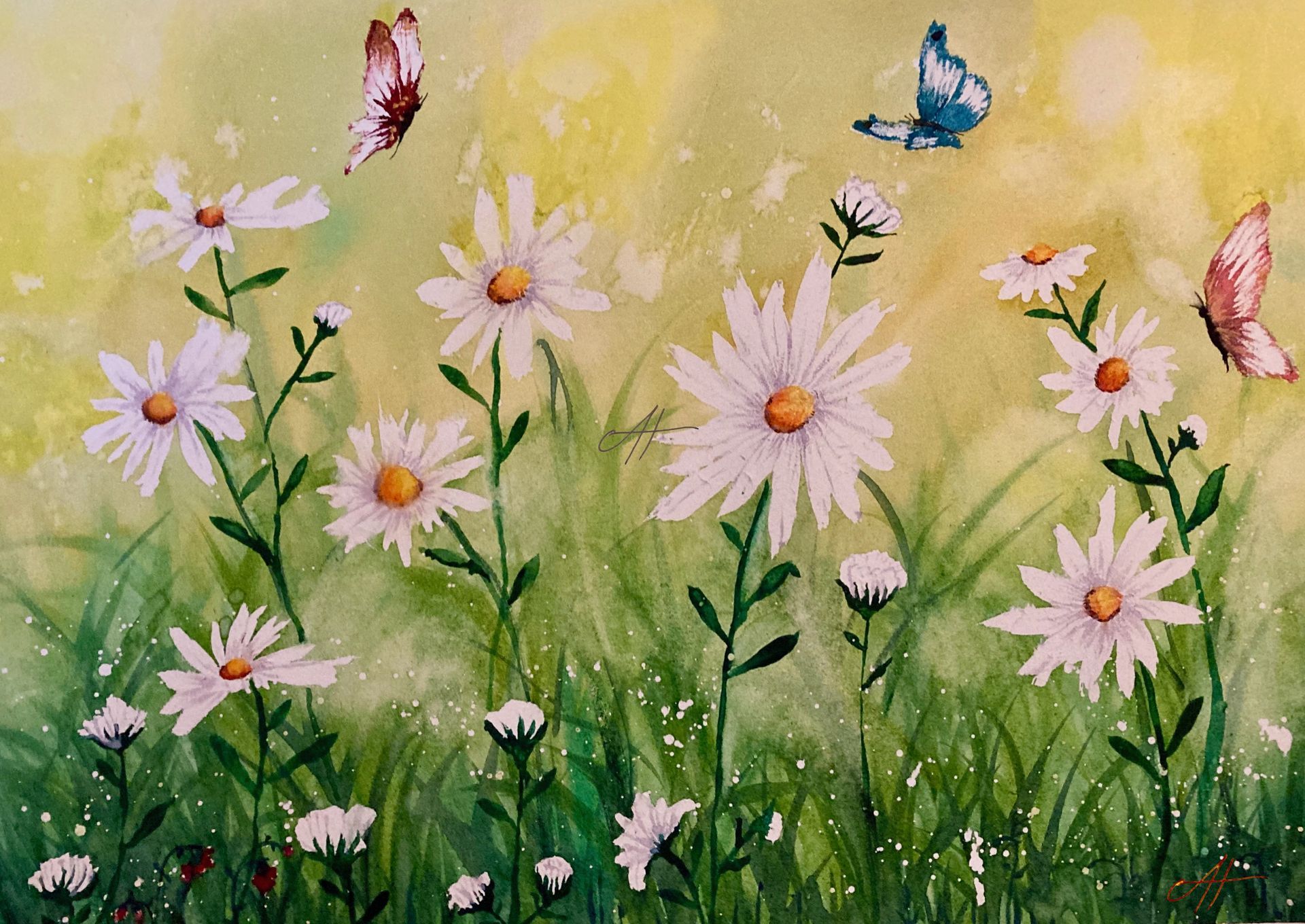 Daisies in green grass and bright sunshine, with butterflies fluttering around them