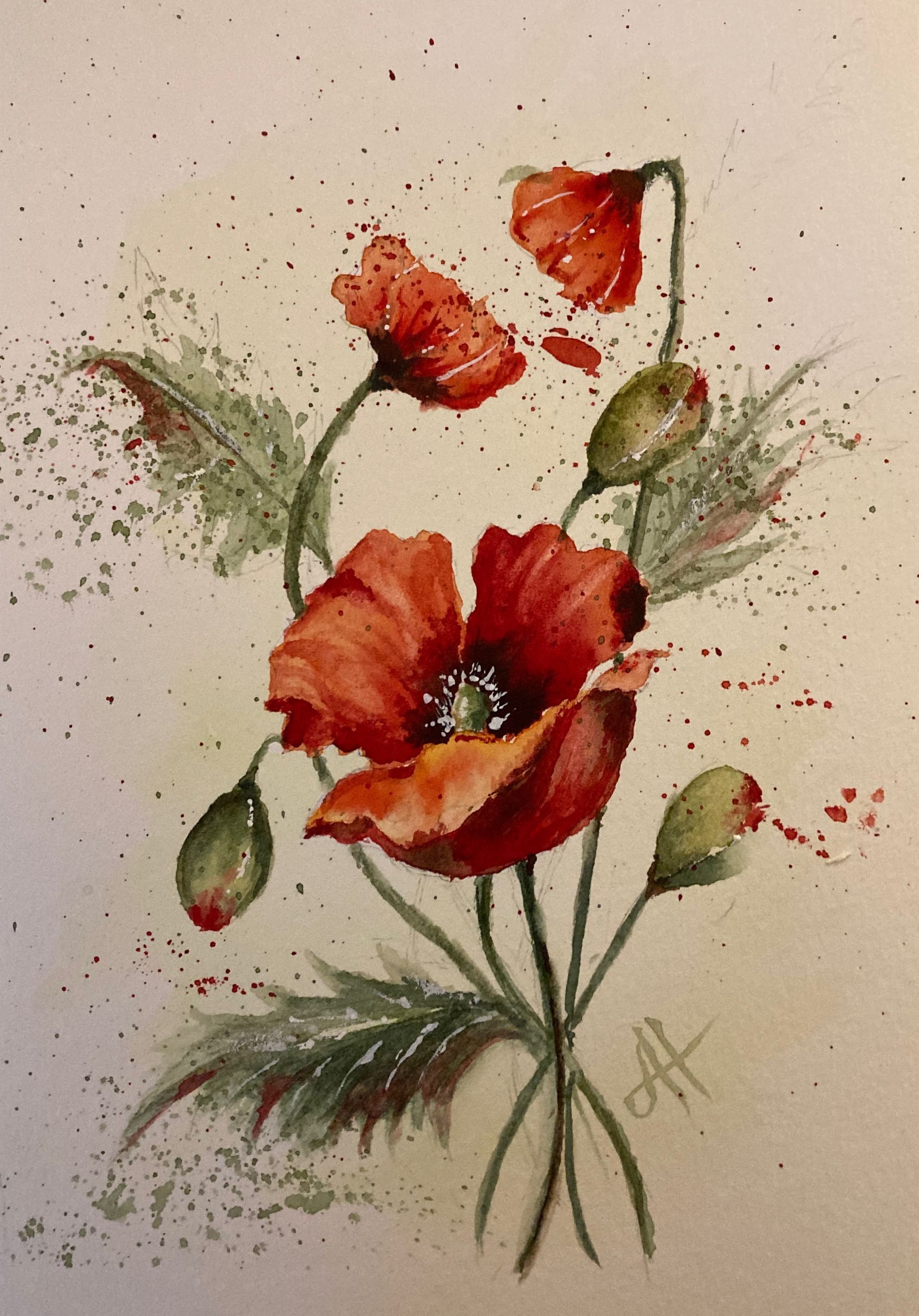 Watercolour paining of red poppies