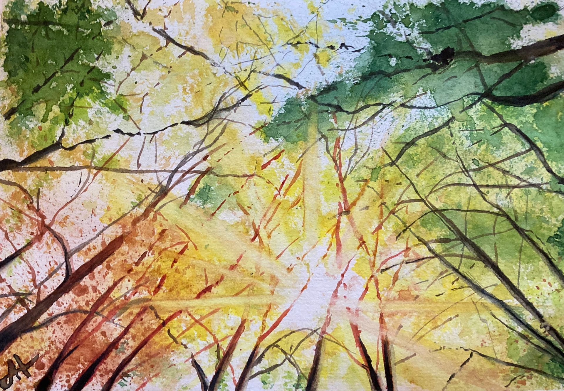 Watercolour painting of Komorebi - the Japanese word for light filtering through the trees