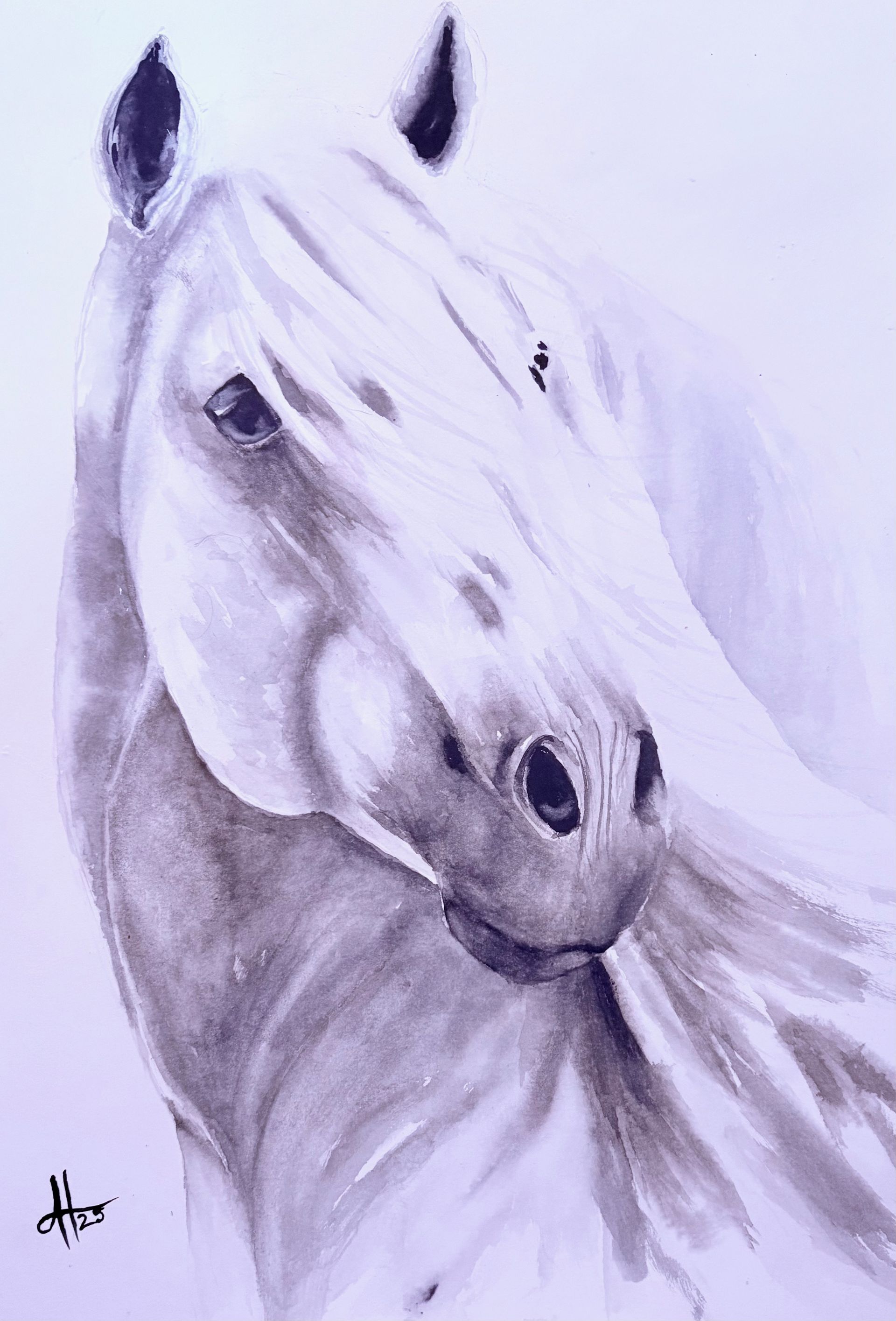 Watercolour painting of a white horse with a flowing mane