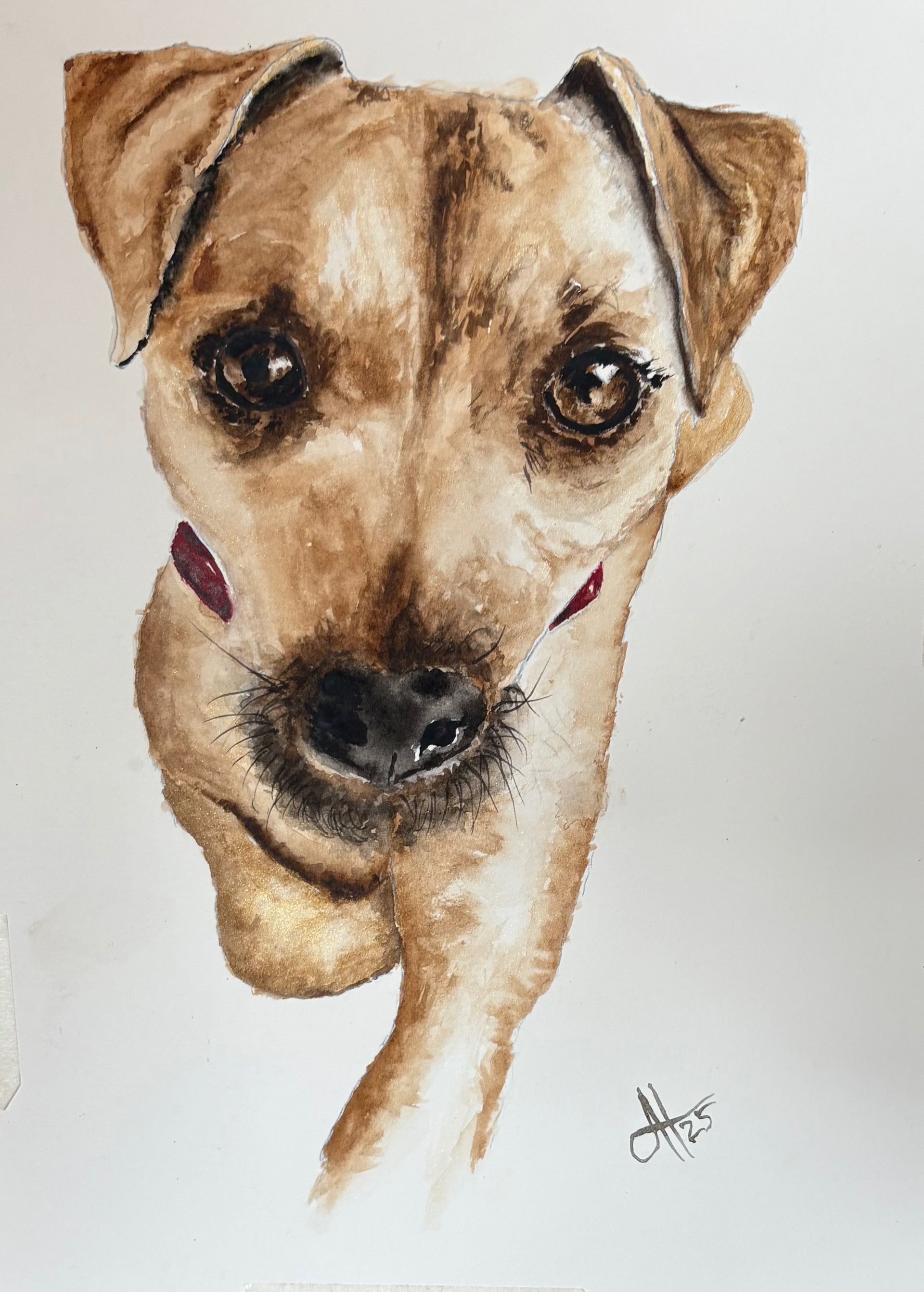 Watercolour painting of our wise dog Skye