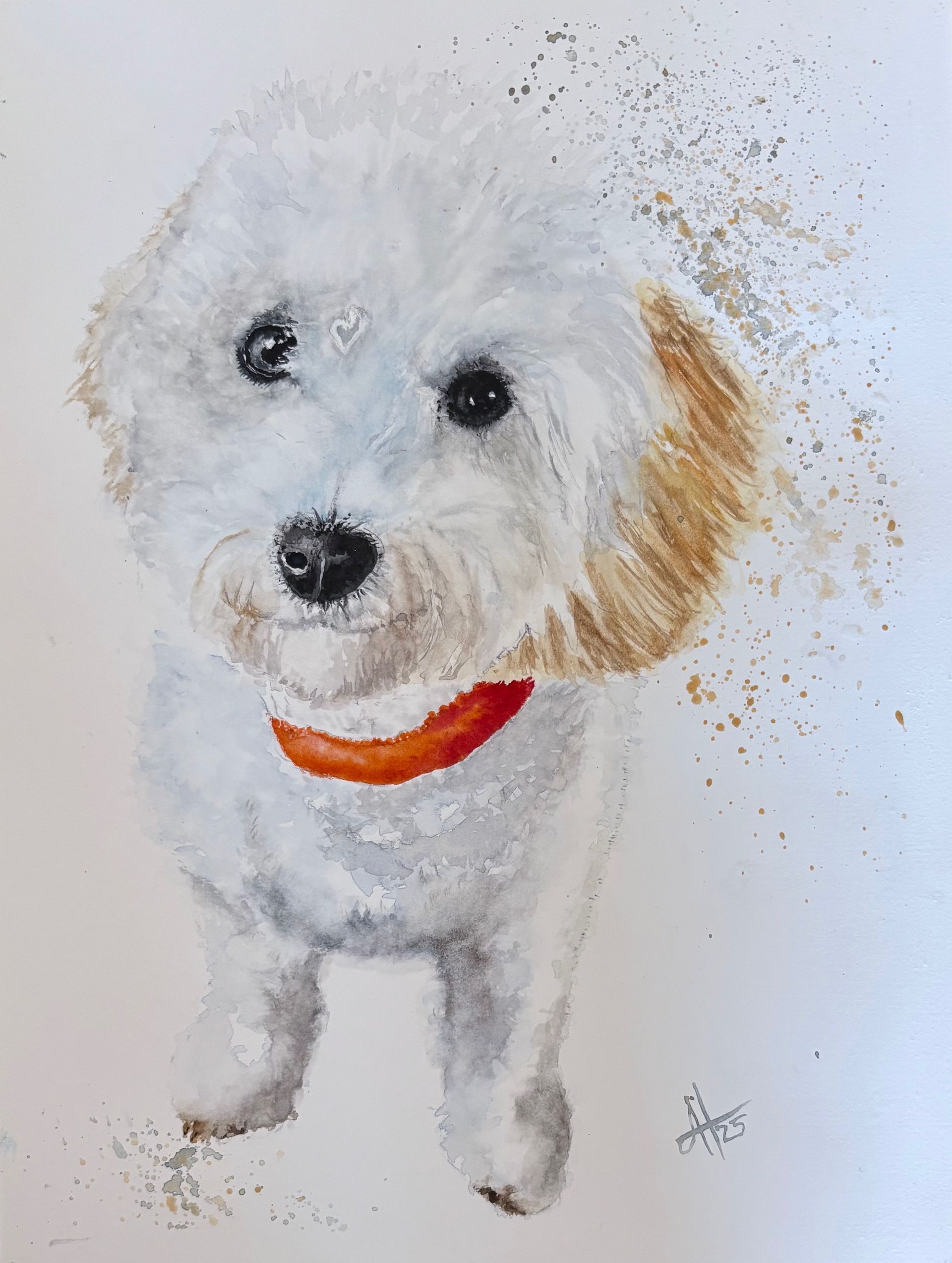 Watercolour painting of our wee Cookie, the adorable hooligan