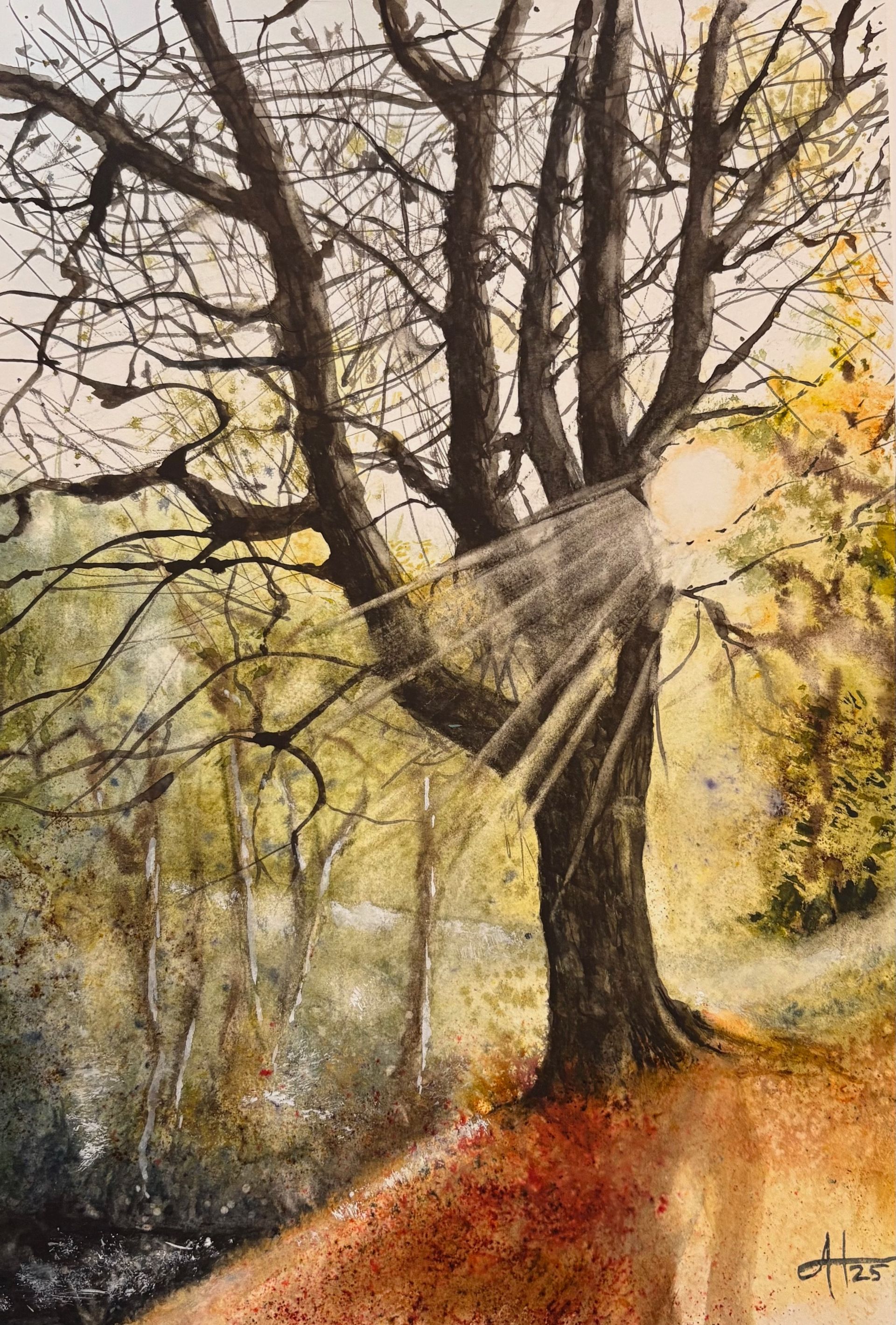 Watercolour painting of early Autumn sun streaming through an oak tree