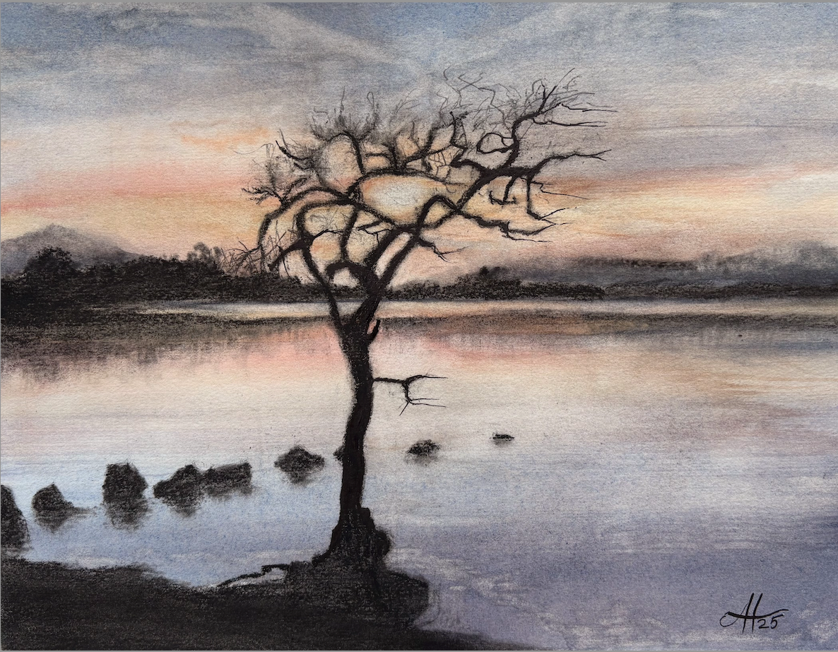 Watercolour and charcoal painting of the lone oak tree at Milarrochy Bay, Loch Lomond