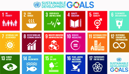 Sustainable Development Goals Image.