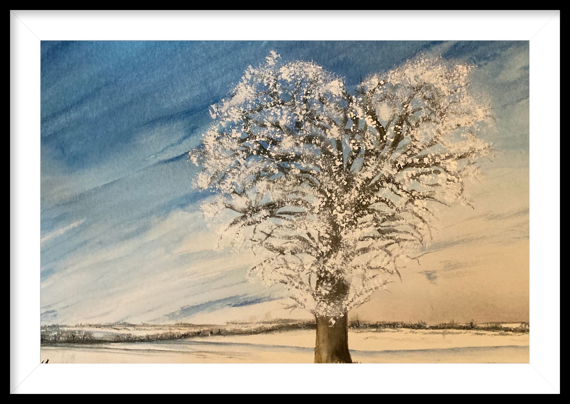 Tree with white blossoms forming a heart shape