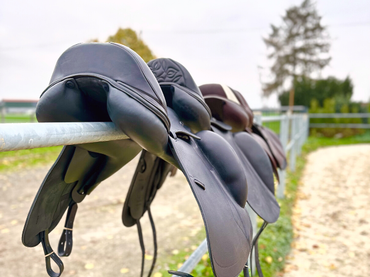 Der richtige Dressursattel Dressusättel von verschiedenen Marken, die anpassbar sind.