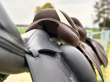 Alles wissenswerte rund um das Thema Sattelkauf Der richtige Sattel