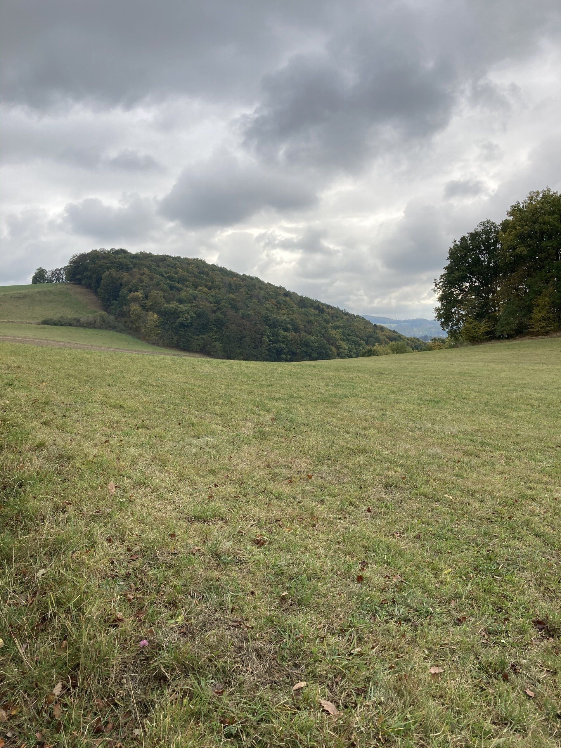 Diemelblick
