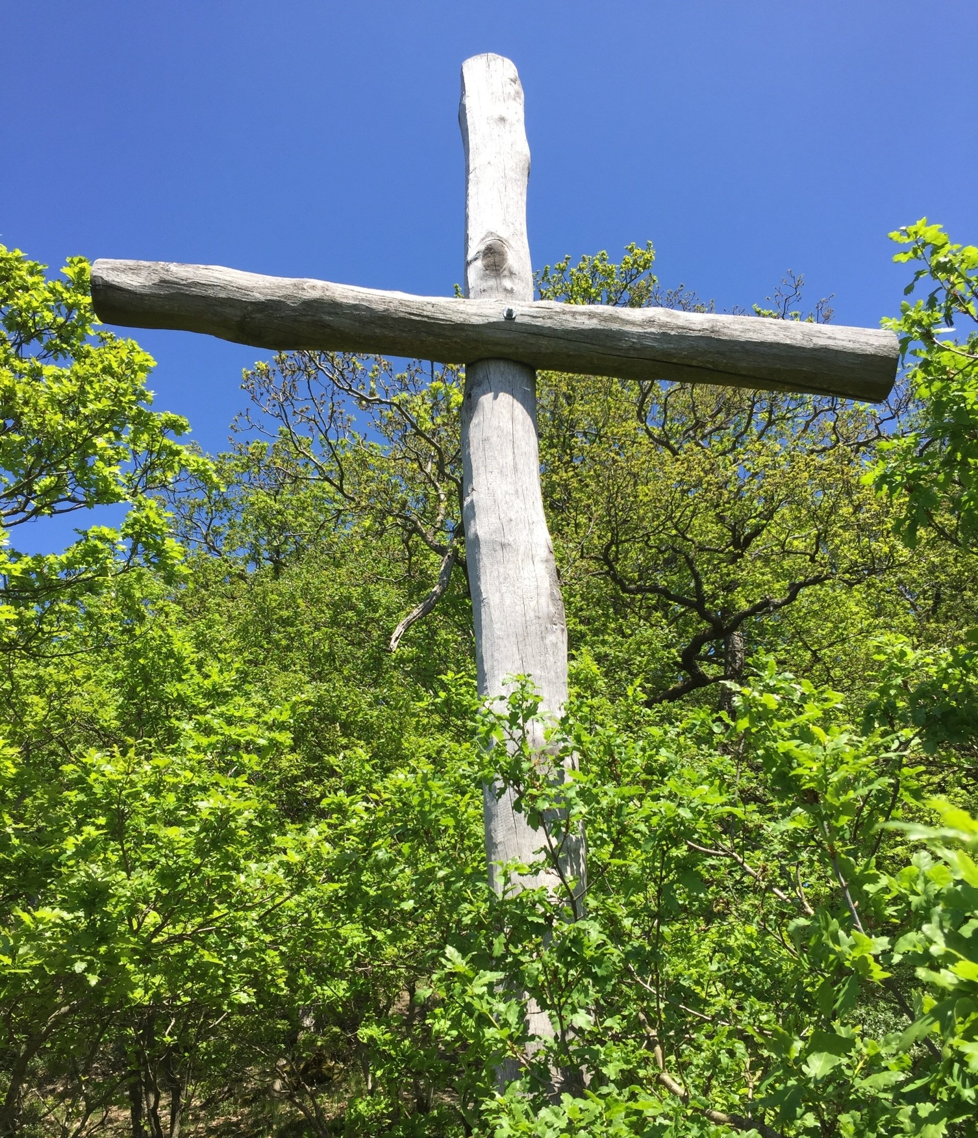 Wanderung über den Muffert