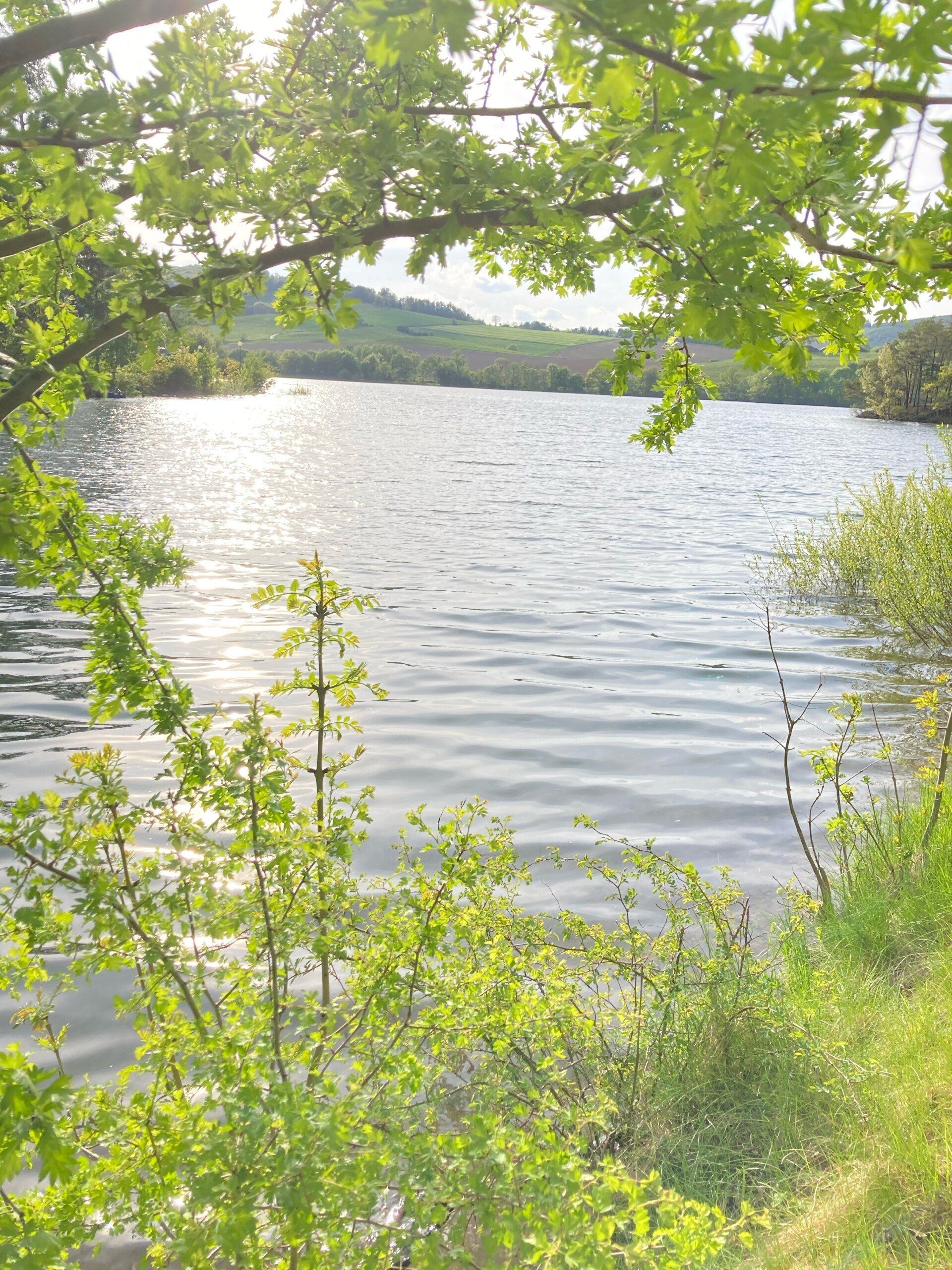 Diemelsee
