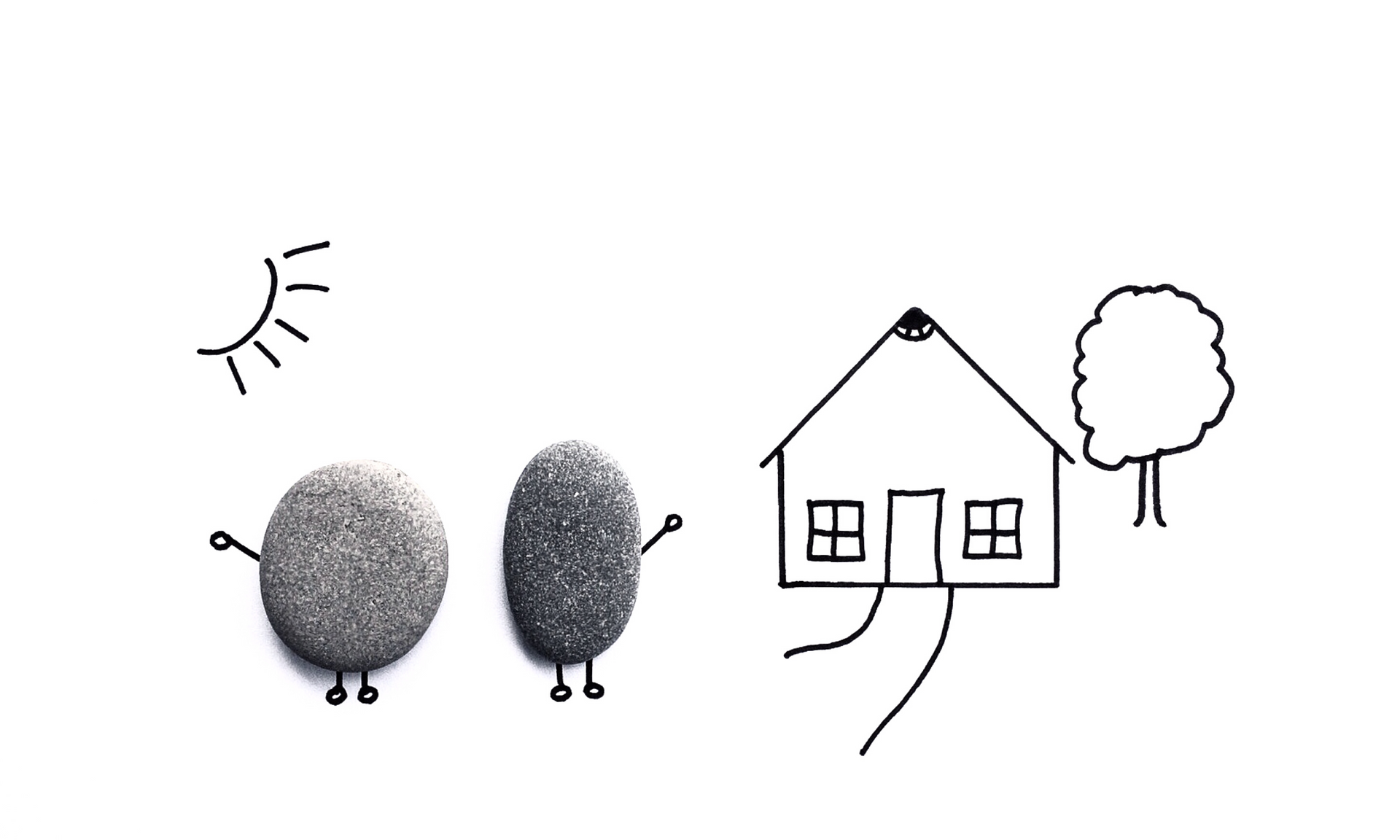 SMC Bois rénovation Reims SMC Bois rénovation Reims