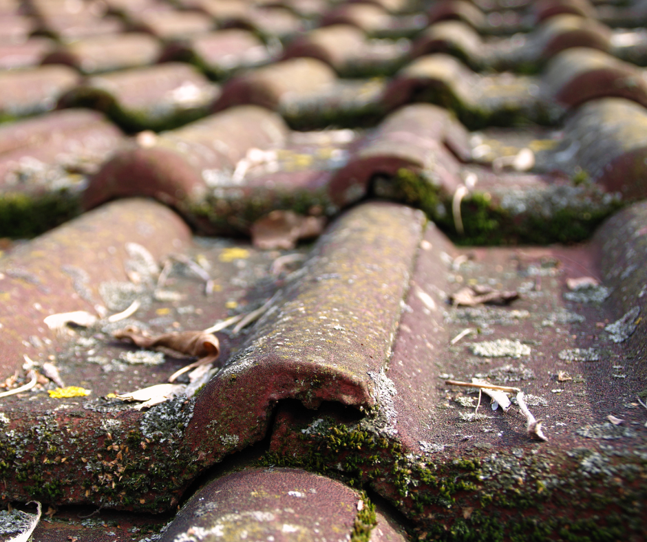 Tuiles couvreur reims