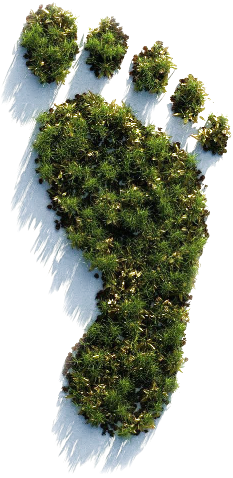 Fussabdruck nachhaltiger fussabdruck