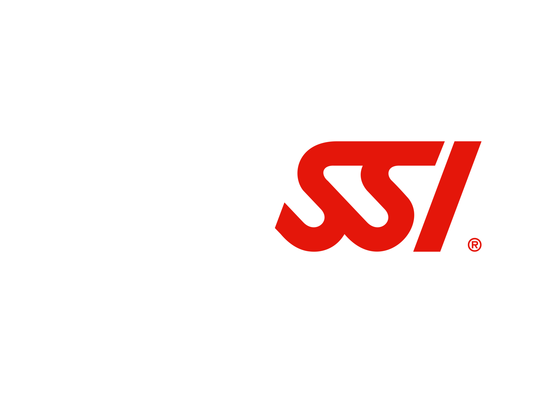 50 Jahre SSI