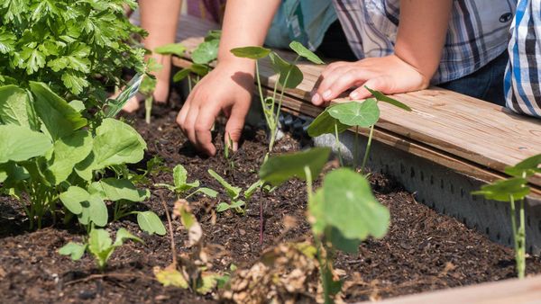 Hochbeet für Kinder
