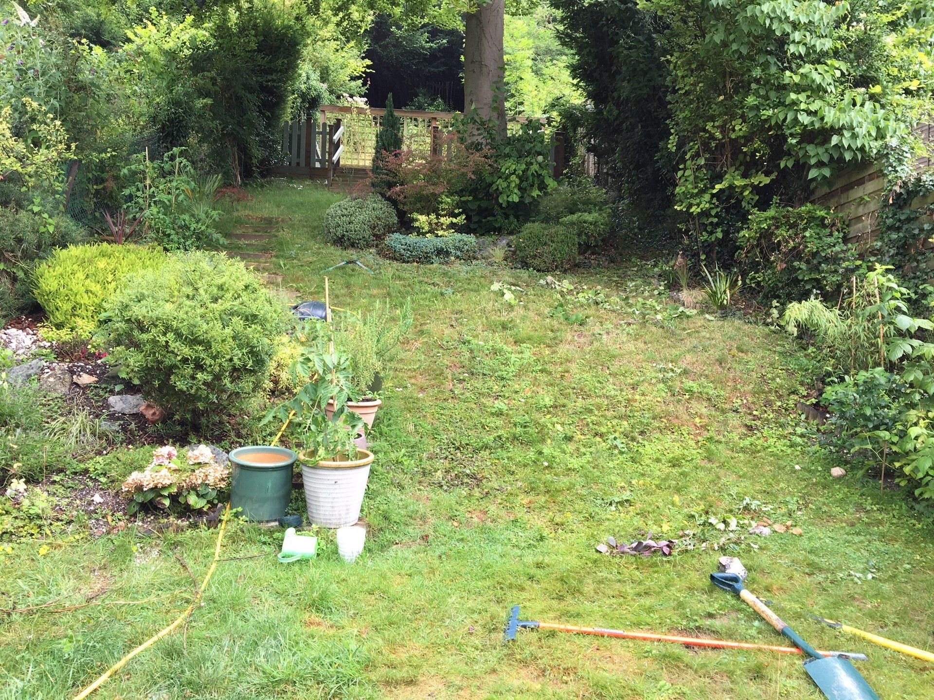 Landscaping - Before
