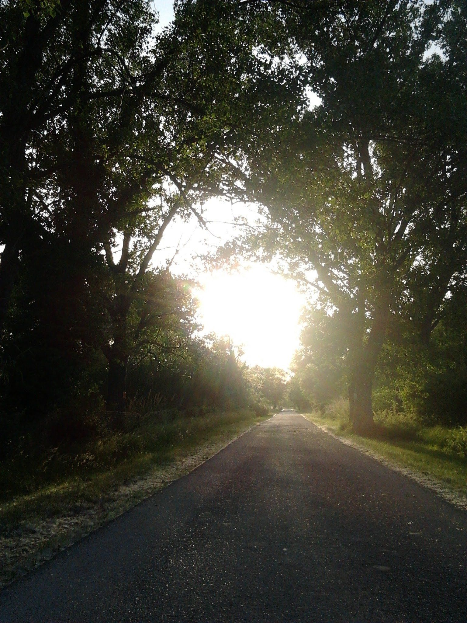 La strada di campagna per arrivare fino a Tenuta Carbognano