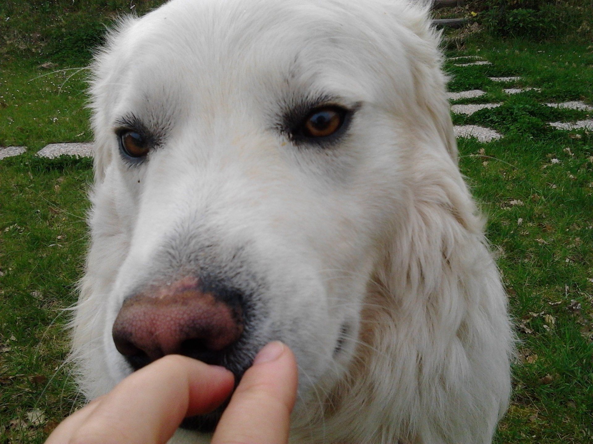 Neve il nostro Custode