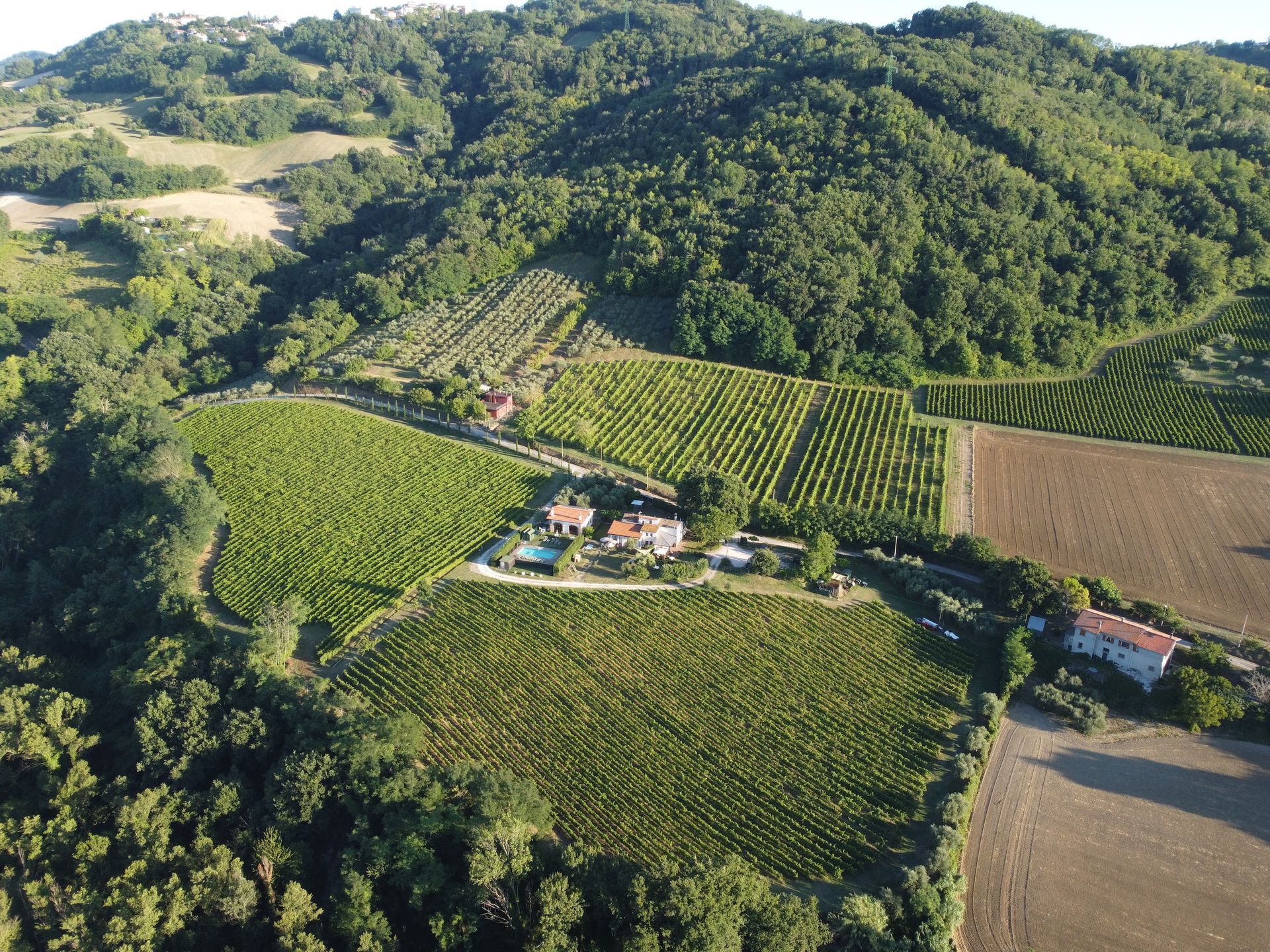 Come la vedrei se avessi le ALI _ Panoramica_ Tenuta Carbognano
