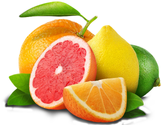 Agrumes bio Agrumes bio pour Les Paniers Briards